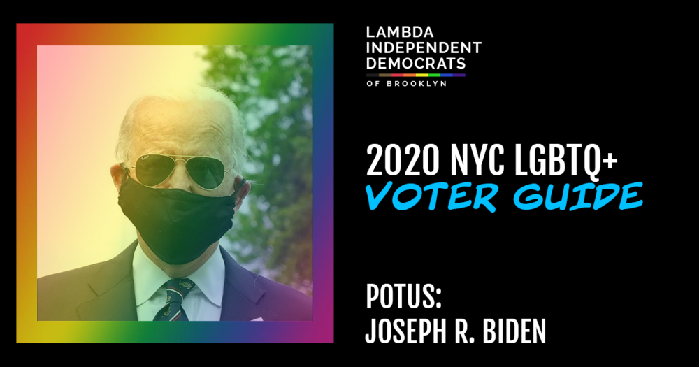 LID_2020VoterGuide (1).png